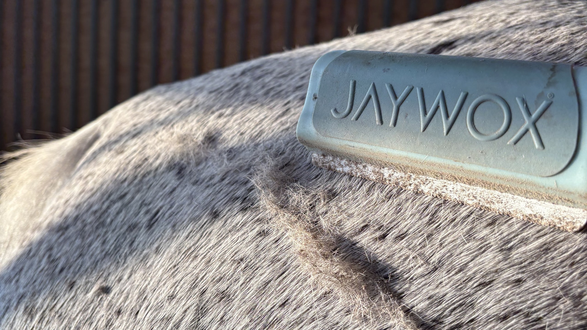 JAYWOX Blue Mist shedding comb on a grey horse coat with loosened undercoat